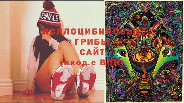 не бодяженный Сатка