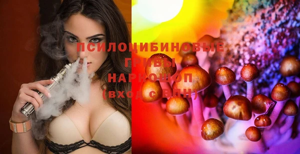 не бодяженный Белокуриха