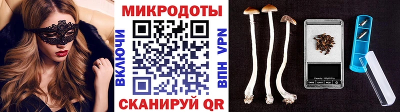 Галлюциногенные грибы мицелий  ссылка на мегу ссылки  Касли 